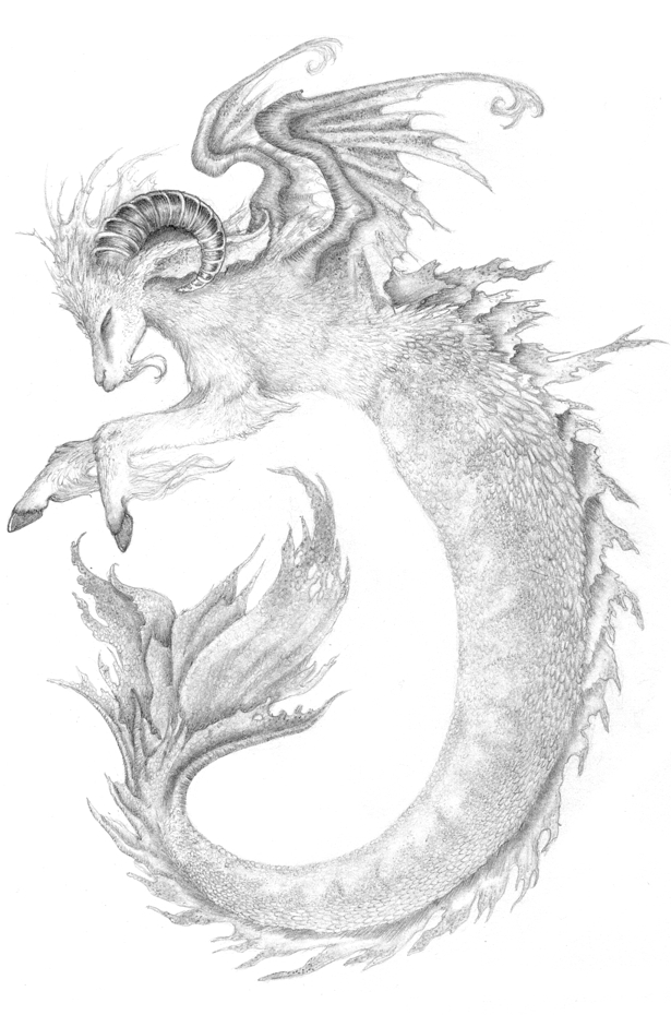 615x930 Capricorn 2 By Annikki - Capricorn Sketch