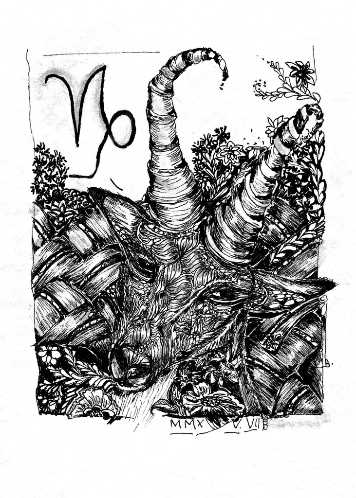 731x1024 Ink Drawing - Capricorn Sketch
