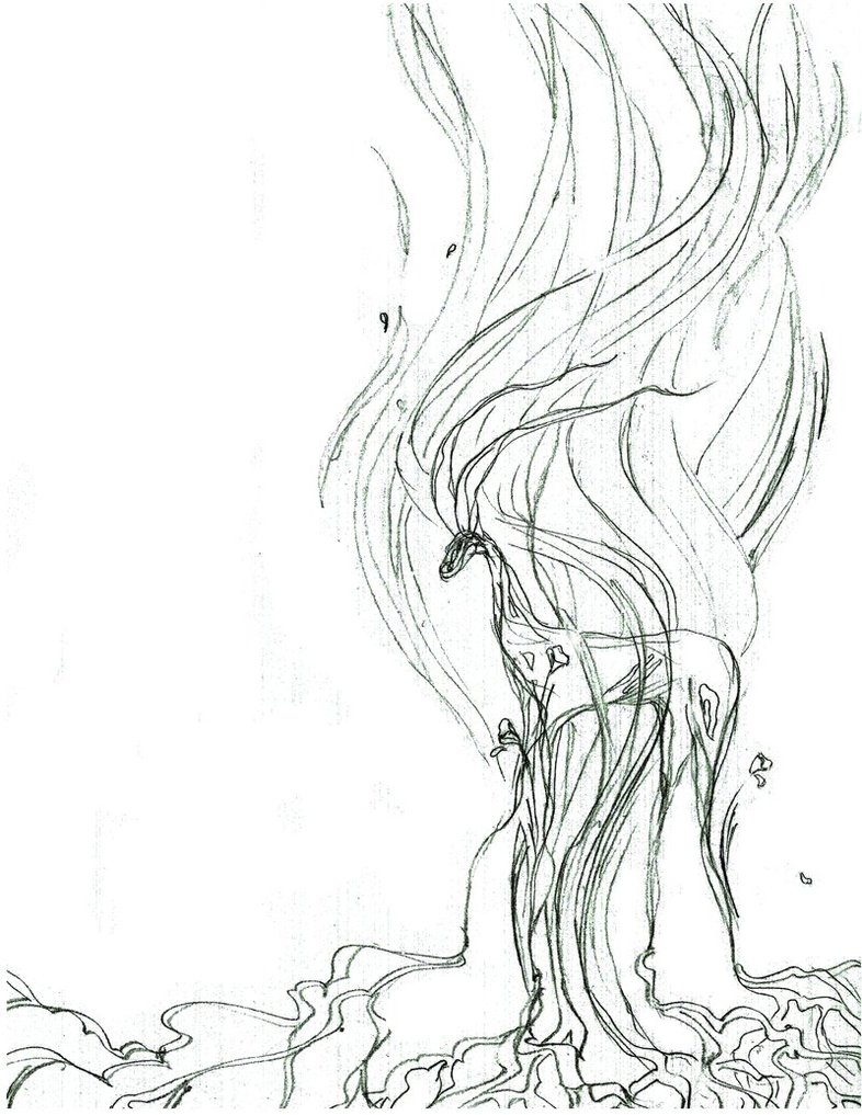 786x1017 Wip Capricorn Sketch By Tubamirum - Capricorn Sketch