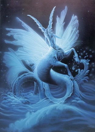 312x432 Capricorn - Capricorn Sketch