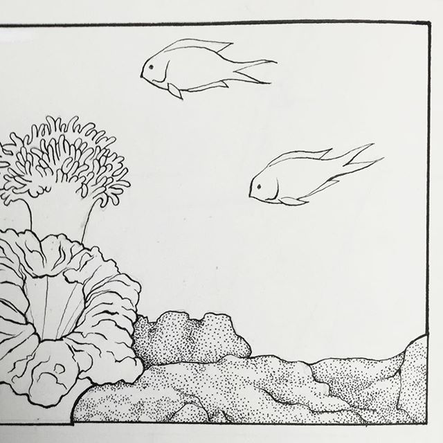 640x640 Fish Comics Caption Contest 2 - Caption About Sketch