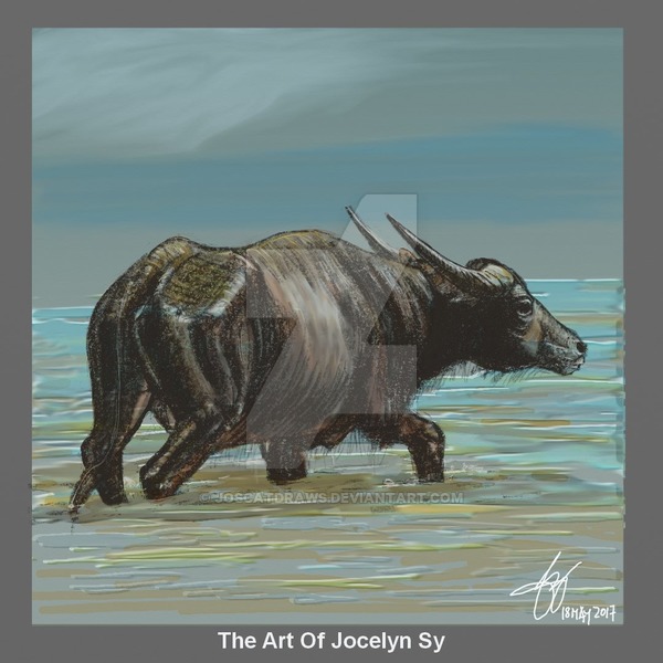 600x600 Dailysketchday42 18may2017 Wet Carabao By Joscatdraws - Carabao Sketch