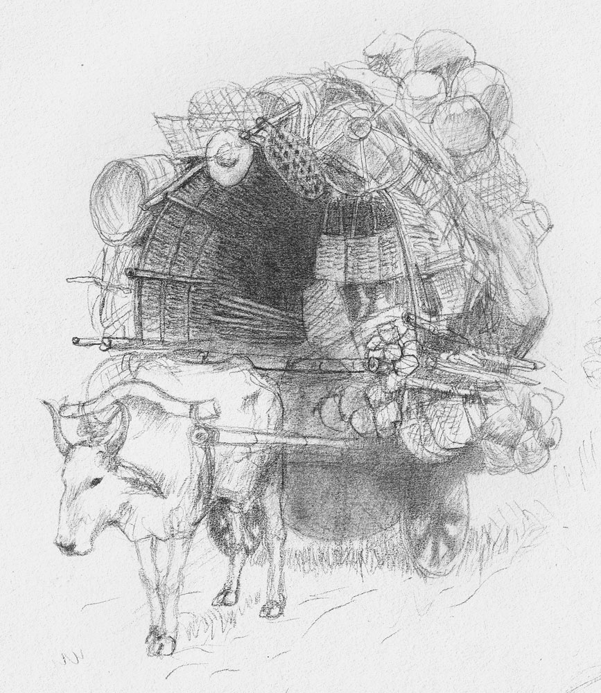 867x1000 Si Puti - Carabao Sketch