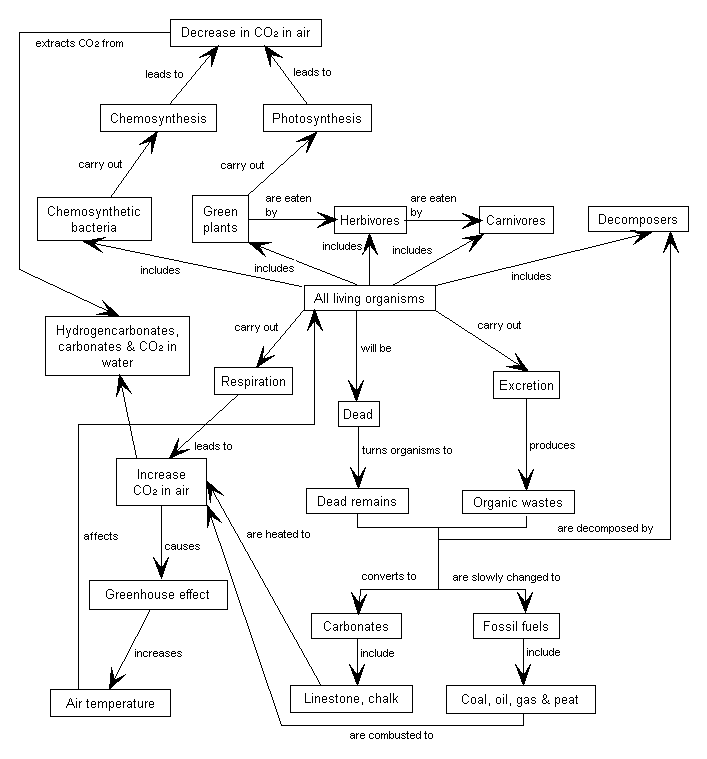 707x759 Carbon Cycle - Carbon Cycle Sketch