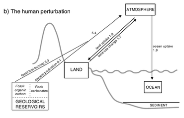 370x238 Carbon Cycle - Carbon Cycle Sketch