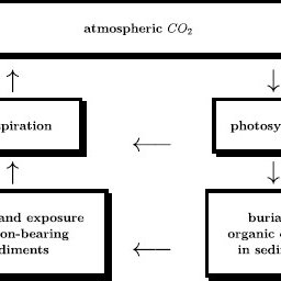 Carbon Cycle Sketch at PaintingValley.com | Explore collection of