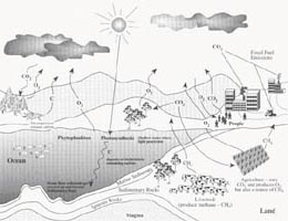 260x200 What Is Biogeochemistry Development Of A New - Carbon Cycle Sketch