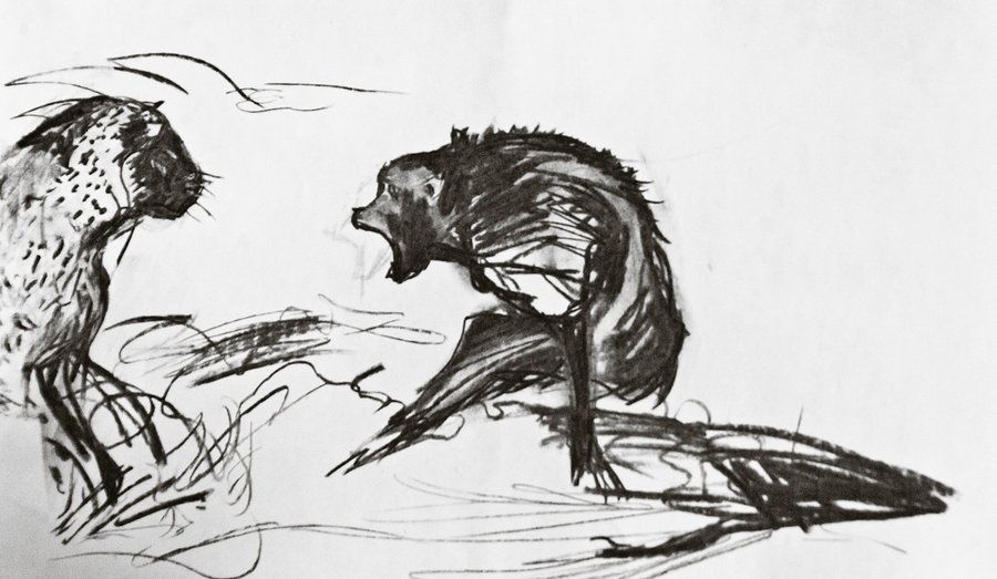 900x523 Cheetah Carbon Sketch By Therealdarkrevan - Carbon Sketch