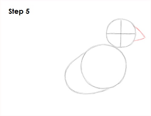 500x386 How To Draw A Cardinal - Cardinal Bird Sketch