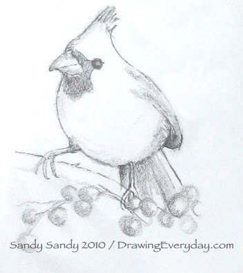 352x396 Drawing Everyday Cardinal Sketch - Cardinal Sketch