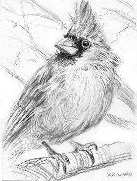 277x366 The Paintings Of Jeff Ward Cardinal Sketch Aceo Ferrari Pens - Cardinal Sketch