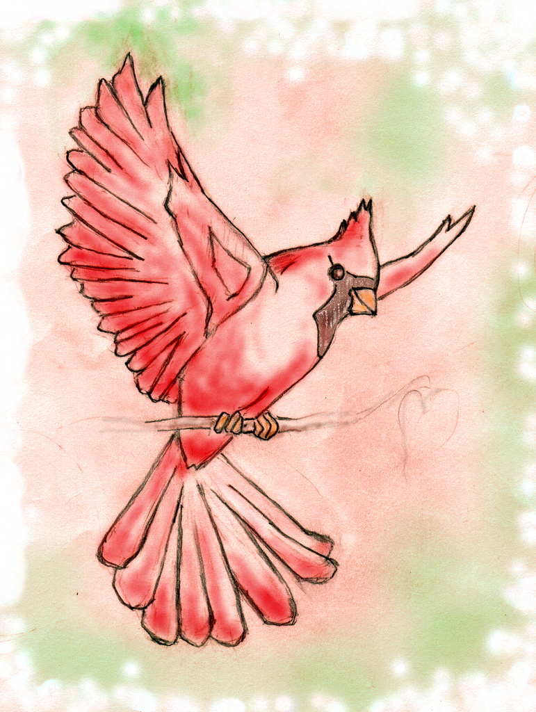 771x1024 Sketch Of Cardinal For The Stonecutter I Put Off Dealing - Cardinal Sketch