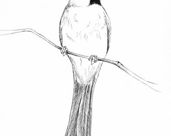 340x270 Cardinal Sketch Tote Bag - Cardinal Sketch