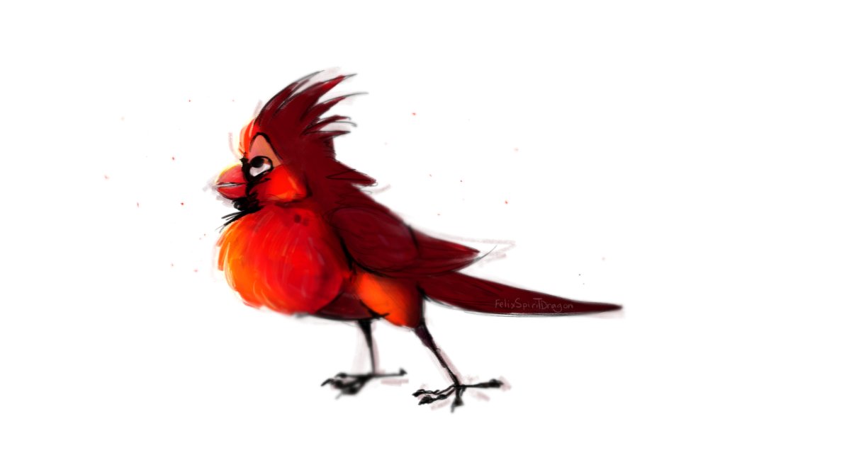 1191x670 Cardinal Thanksgiving Sketch By Felixspiritdragon - Cardinal Sketch