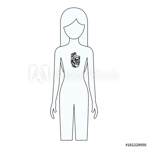 500x500 Sketch Silhouette Of Female Person With Heart System Human Body - Cardiovascular System Sketch