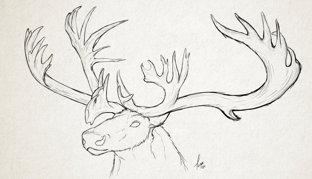 1280x734 Caribou Sketch By Torque - Caribou Sketch