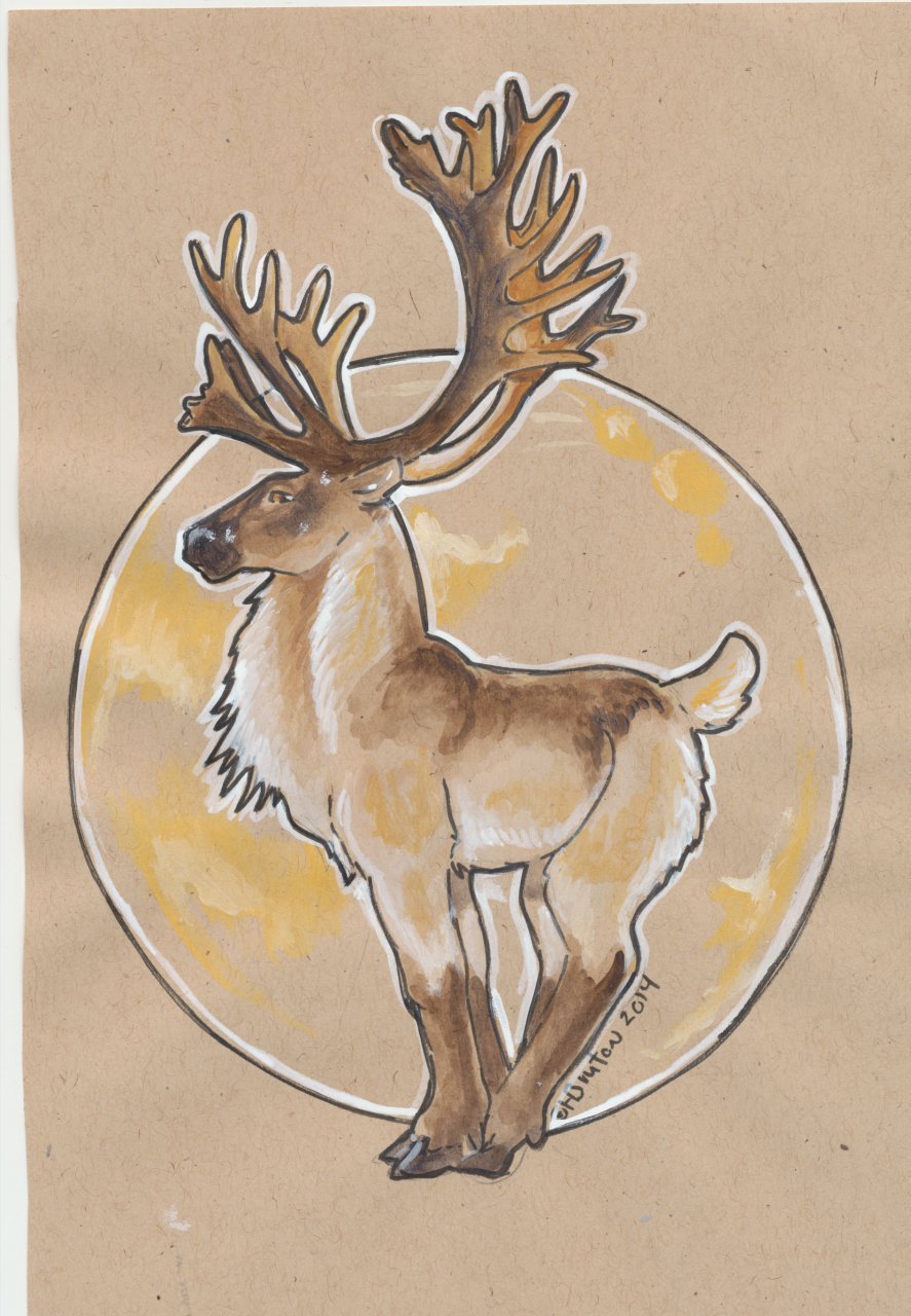 887x1280 Caribou Sketch By Hbruton - Caribou Sketch