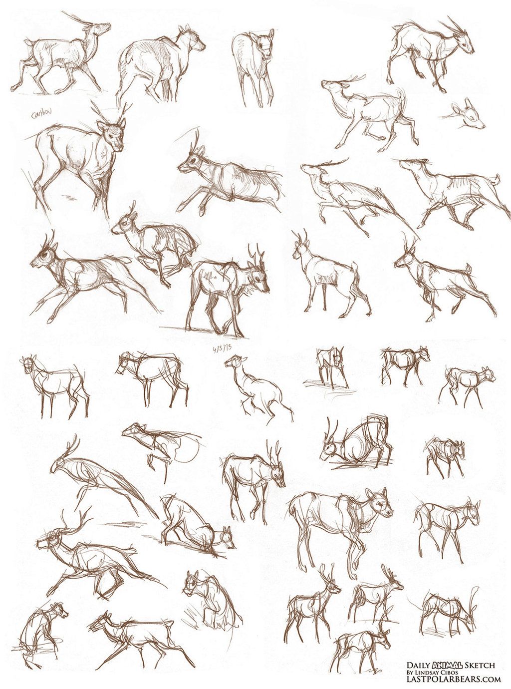 1024x1380 Caribou Sketches By Lcibos Monster Creature Beast Sketch - Caribou Sketch