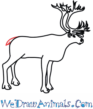 300x350 How To Draw A Caribou - Caribou Sketch