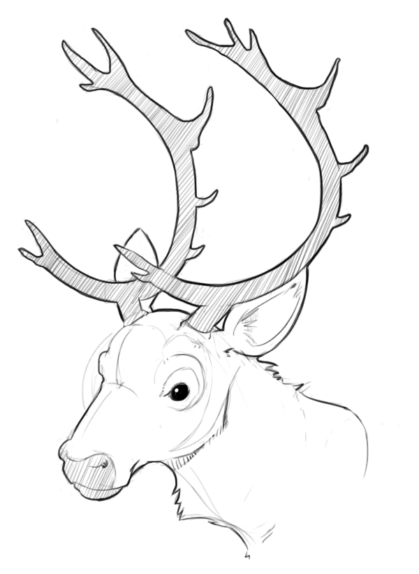 600x821 Kawks! Art Blog Caribou Sketch - Caribou Sketch