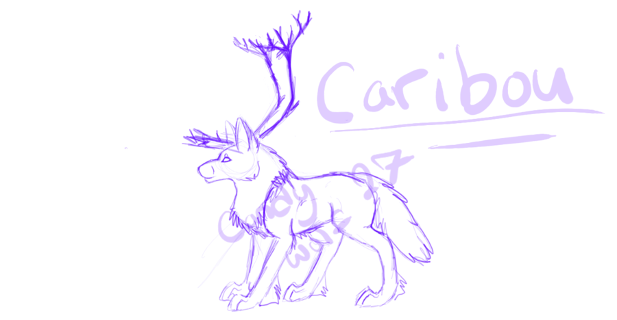 900x468 Oc Caribou Sketch By Candywolf27 - Caribou Sketch