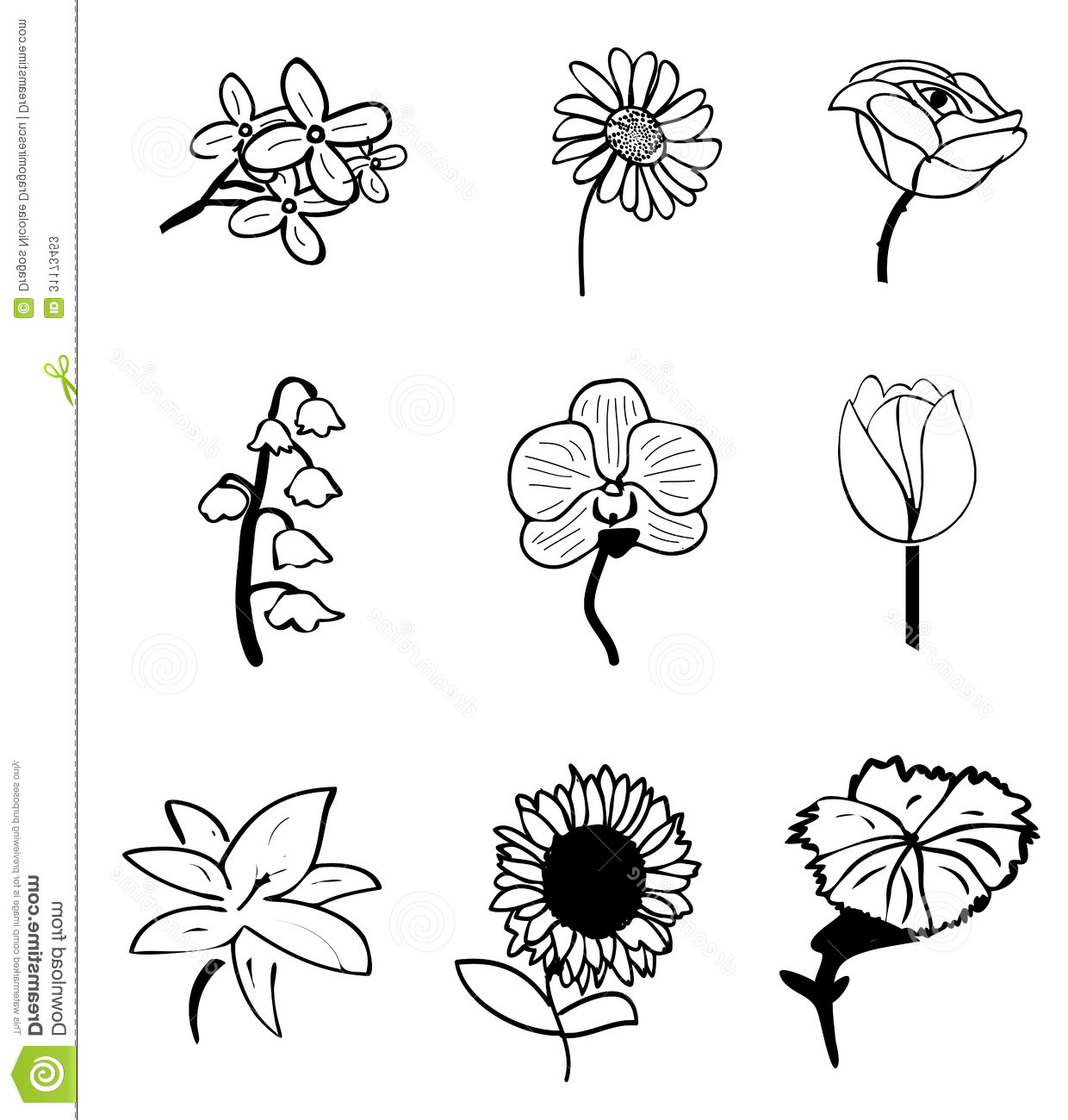 1240x1300 Flowers Simple Sketches Flower Sketches Stock Vector. Illustration - Carnation Flower Sketch