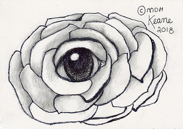 768x543 Eye In Carnation Flower Keane Eyes Gallery - Carnation Flower Sketch