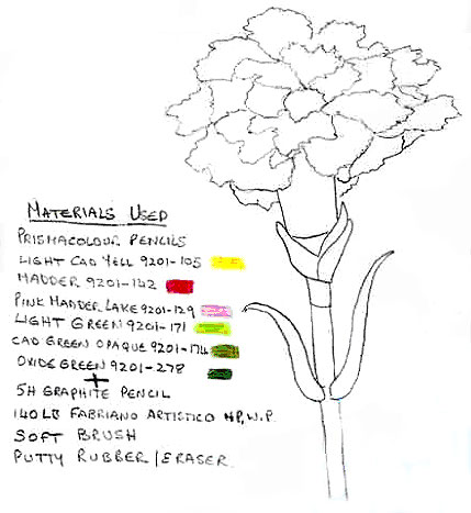 429x467 Tutorial - Carnation Sketch
