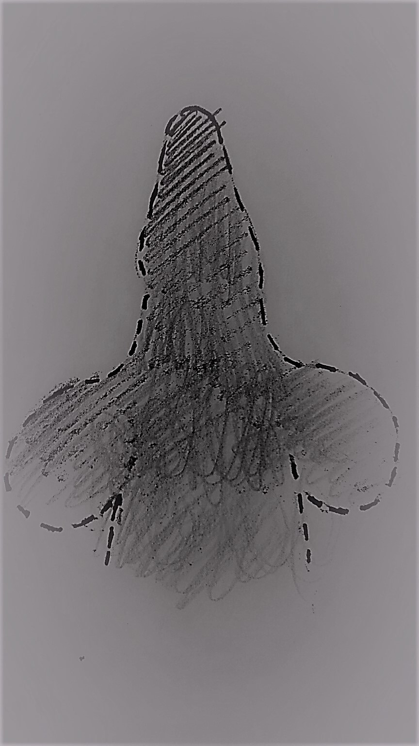 864x1536 Carnival Sketch With Outline - Carnival Sketch