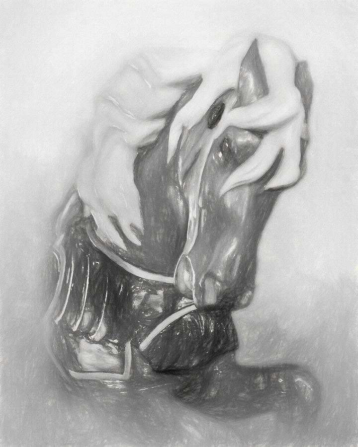 720x900 Carousel Sketch Photograph By David And Carol Kelly - Carousel Sketch