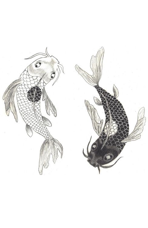 488x750 Image Result For Koi Carp Drawing Koi Fish Koi - Carp Sketch