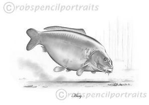 300x212 Mary Classic Legendary Famous Carp Pencil Drawing Art Print - Carp Sketch