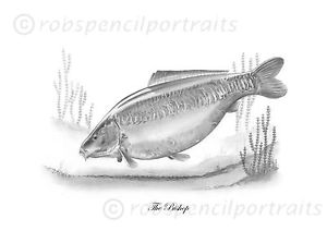 300x212 The Bishop Classic Iconic Famous Redmire Carp Pencil Drawing Art - Carp Sketch