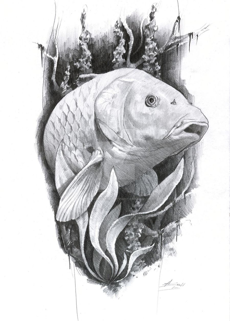 900x1256 Carp Tattoo By On @ Dessins - Carp Sketch