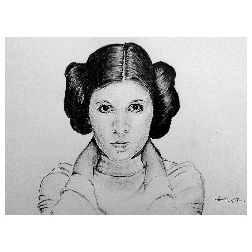 1024x1024 Princess Leia Sketch Art Amino - Carrie Fisher Sketch