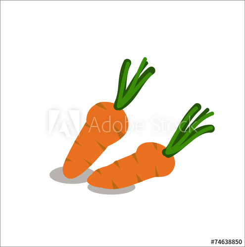 495x500 Carrot Sketch Cartoon Hand Drawn Vector Illustration - Carrot Sketch