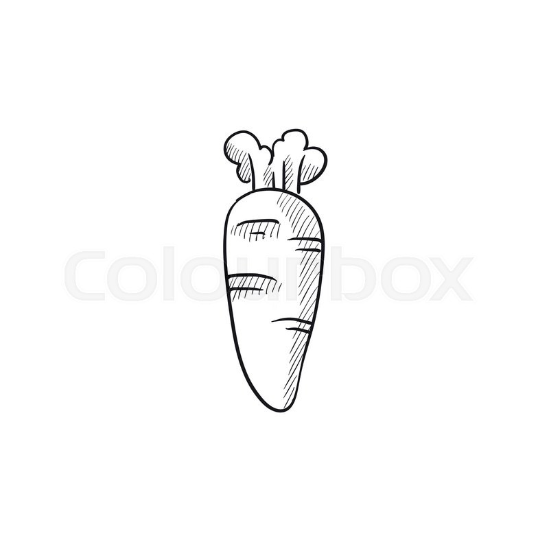 800x800 Carrot Vector Sketch Icon Isolated On Background. Hand Drawn - Carrot Sketch