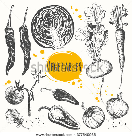 450x470 Cherry Tomato Clipart Carrot Plant - Carrot Sketch