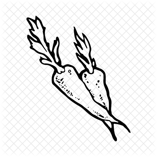 512x512 Collection Of Free Carrot Drawing Sketch. Download On Ubisafe - Carrot Sketch