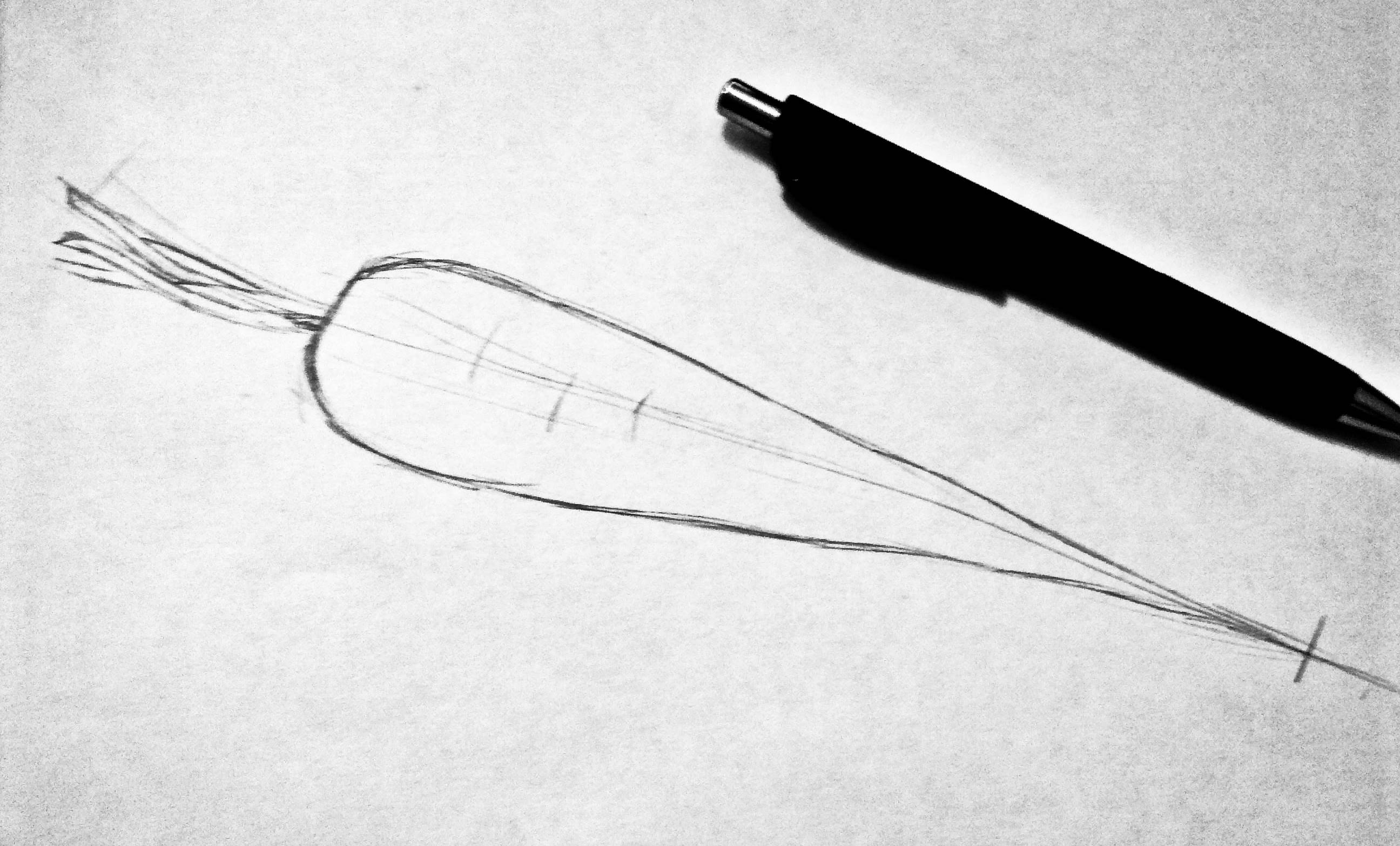 2592x1566 New Sketch Task Carrot Steemit - Carrot Sketch