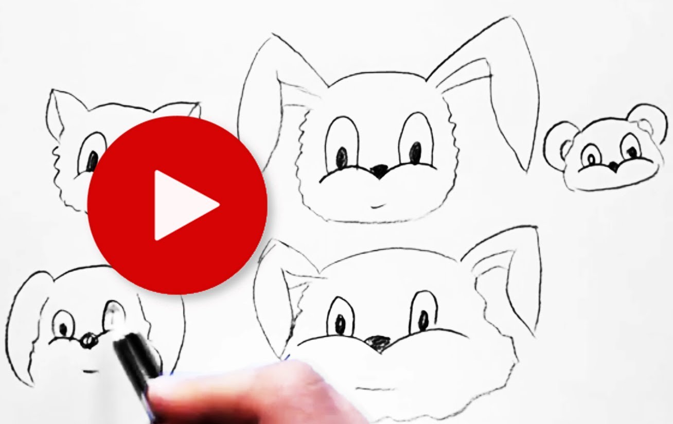 Cartoon Animal Sketches At Paintingvalley Com Explore Collection