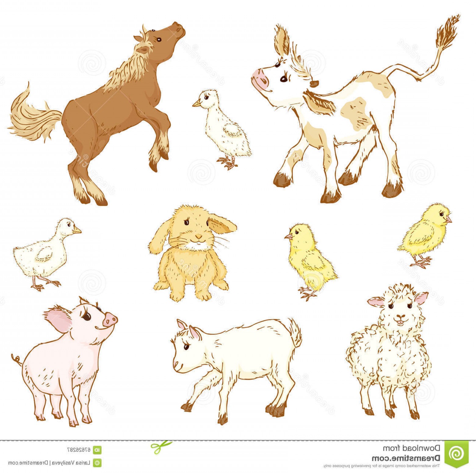 1560x1549 Stock Illustration Farm Baby Animals Set Hand Draw Illustration - Cartoon Baby Sketch
