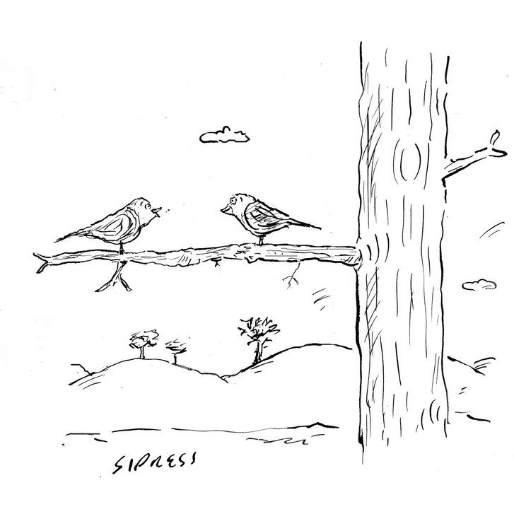 727x727 Daily Cartoon Monday, March 28th The New Yorker - Cartoon Bird Sketch