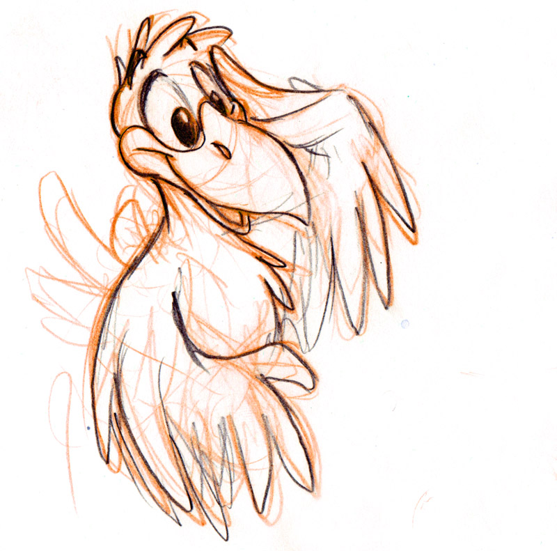 800x791 Friday Sketchdump - Cartoon Bird Sketch