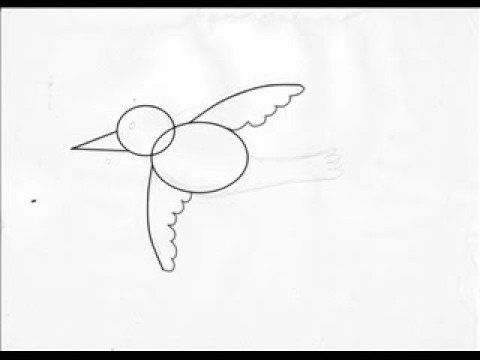 480x360 How To Draw A Cartoon Bird - Cartoon Bird Sketch