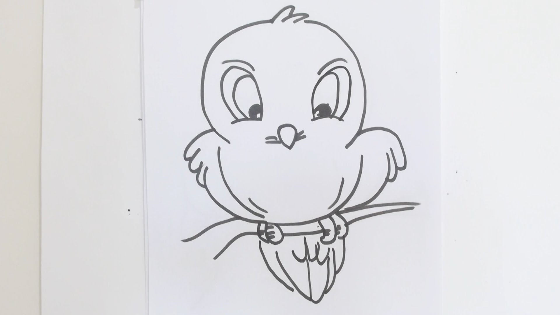 1920x1080 How To Draw Cartoon Bird - Cartoon Bird Sketch