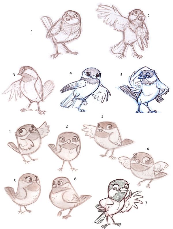 600x793 Pin By Katarina Zagorec On Birds And Bunnys Drawings - Cartoon Bird Sketch