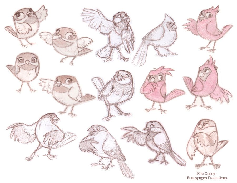 900x695 Pin By Amine Re On Illustrations Character Design - Cartoon Bird Sketch