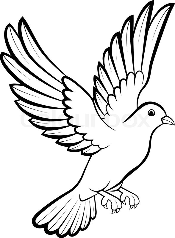 588x800 Vector Illustration Of Cartoon Dove Birds Logo For Peace Concept - Cartoon Bird Sketch