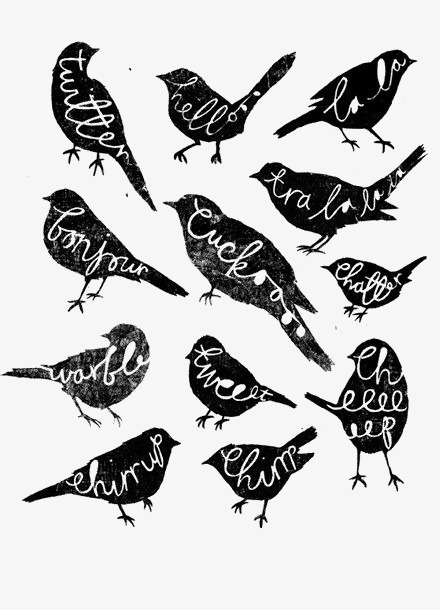 440x610 Birds Silhouettes, Cartoon Bird, Sketch, Black Png Image And - Cartoon Bird Sketch